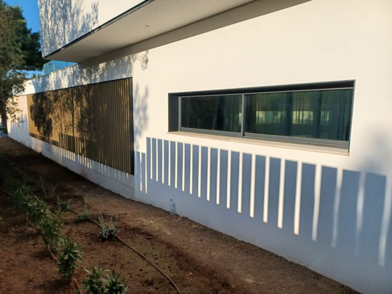 laranxa_proyecto_sirvi6402